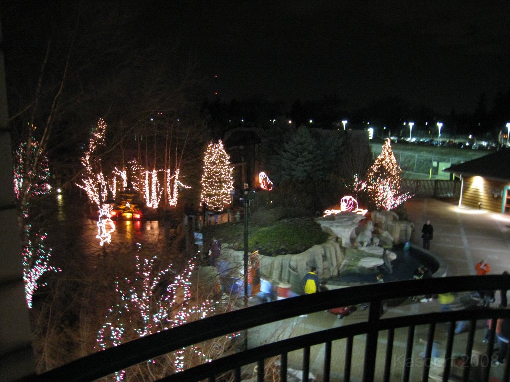 Toledo Zoo Lights 2008 026.jpg - The regular visit to the Toledo Ohio Zoo to see the Christmas Lights displays. New this trip were the "Dancing Lights", displays flashing in time with the Christmas Songs.